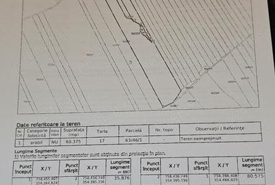 Teren de 60000 mp, în Valu lui Traian
