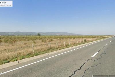 Teren agricol extravilan de 7500 mp, în Bolotești - 6
