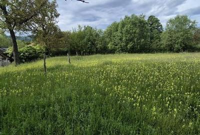 Teren de 3300 mp, în Poienarii de Muscel