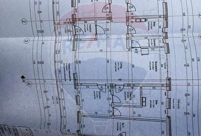 Teren Construcții intravilan de 1170 mp, în Cărbunari - 13