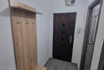 Garsonieră semidecomandată în Craiovița Nouă - 8