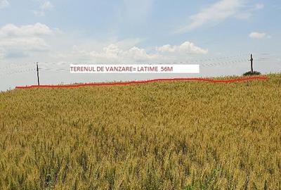 Teren de 5900 mp, în Curcani - 3