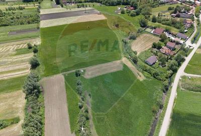 Teren agricol extravilan de 25100 mp, în Prejmer - 14