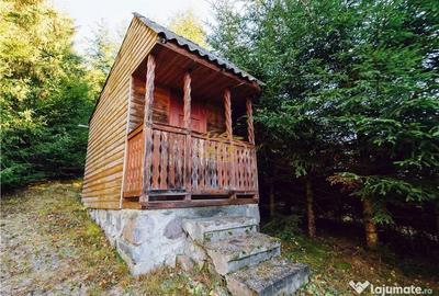 Casă cu 1 camere cu Teren 433 Mp în Central - 6