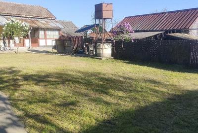 Casă cu Teren 4208 Mp în Giurgița - 4