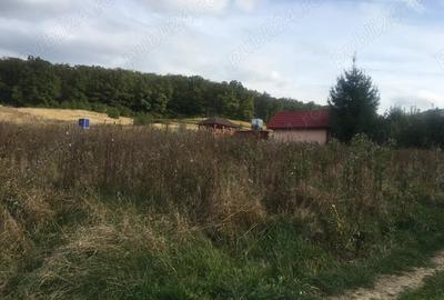 Teren de 650 mp, în Central - 1