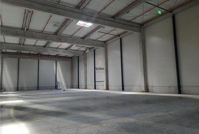 Spațiu industrial, de 10,000 mp, în Periferie - 9