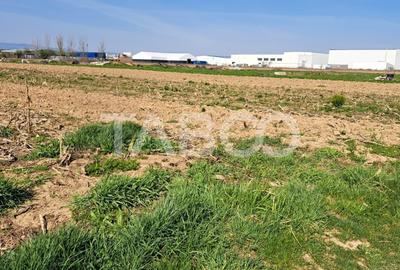 Teren agricol extravilan de 4166 mp, în Șelimbăr - 3