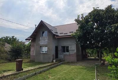 Casă cu 2 camere cu Teren 1600 Mp în Bosia - 9