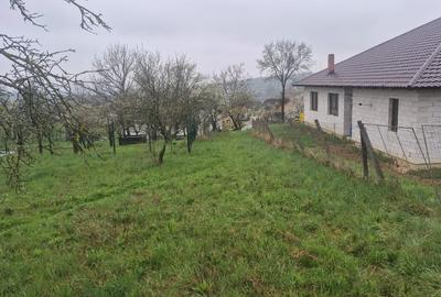 Teren de 4000 mp, în Groși - 3