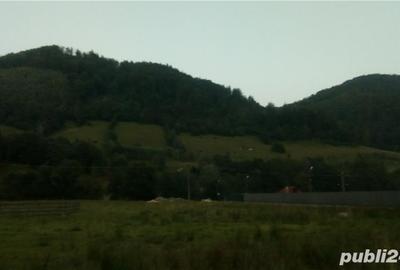 Teren de 2000 mp, în Rucăr - 1