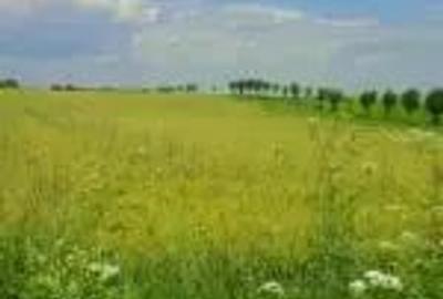 Teren de 3300 mp, în Urleta - 1
