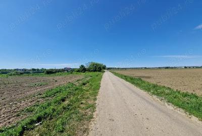 Teren de 500 mp, în Siliștea Snagovului - 8