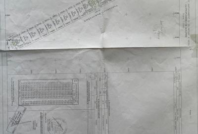 Teren de 2500 mp, în Vasilați - 2