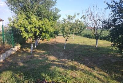 Casă individuală cu 4 camere cu Teren 1200 Mp în Crevedia - 3