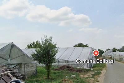 Teren de 2500 mp, în Câmpurelu - 5