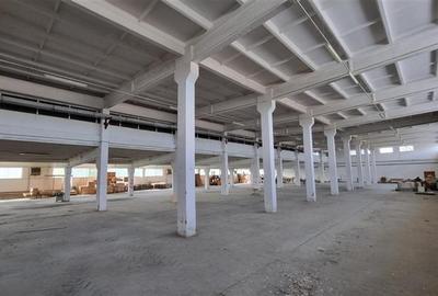 Spațiu industrial, de 11,500 mp, în Nord-Est - 1