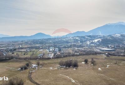 Teren de 4500 mp, în Central - 11