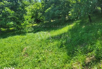 Teren de 960 mp, în Hemeiuș - 10