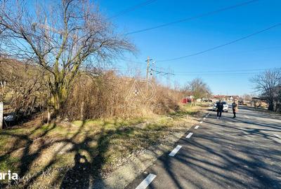 Teren de 5544 mp, în Bâlteni