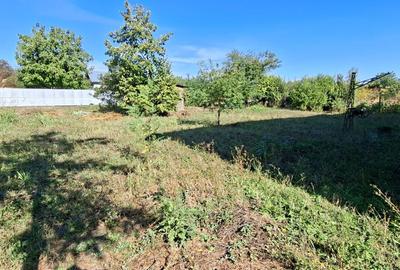 Casă cu 4 camere cu Teren 1000 Mp în Bâldana - 3