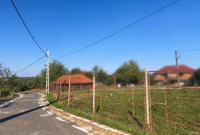 Teren de 1312 mp, în Albota