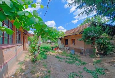Casă cu 2 camere cu Teren 1175 Mp în Crestur