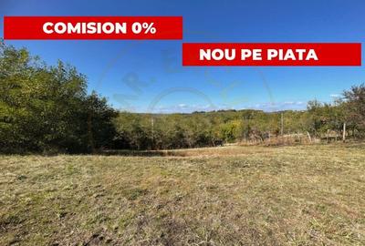 Teren Construcții intravilan de 5000 mp, în Băbana - 2