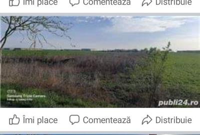 Spațiu comercial, în Balotești