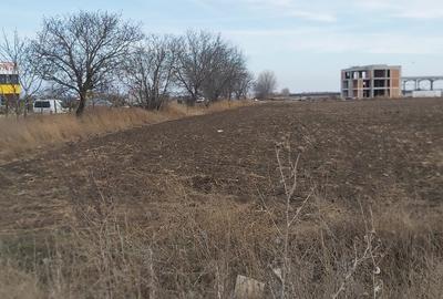 Teren agricol intravilan de 4.5 mp, în Brăilei - 27