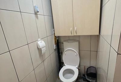 Casă individuală cu 4 camere cu Canalizare în Domenii - 10