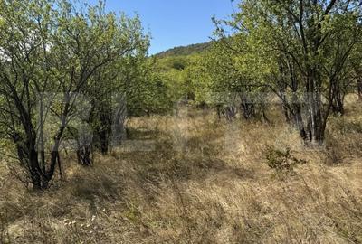 Teren Construcții intravilan de 1400 mp, în Viile Noi