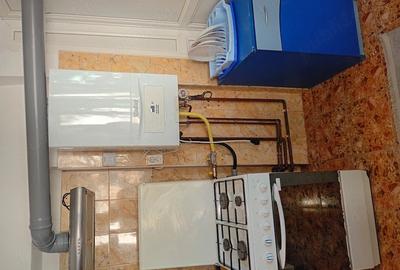 Apartament cu 2 camere decomandat în Broșteni - 1