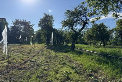 Teren de 3000 mp, în Budila - 15