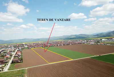 Teren Construcții extravilan de 29200 mp, în Tărlungeni - 4