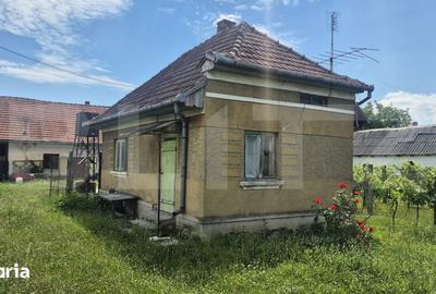 Teren de 5488 mp, în Păulești - 6