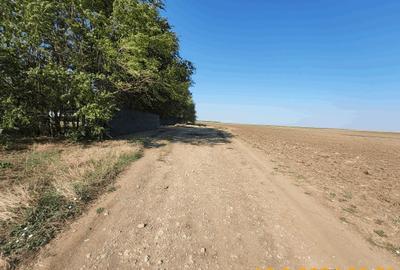Teren Construcții intravilan de 41622 mp, în Frumușani - 7