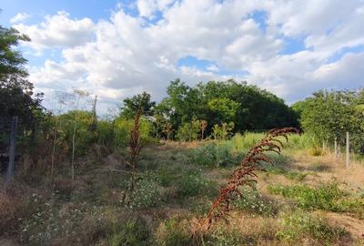 Teren agricol intravilan de 1112 mp, în Frumușani - 5
