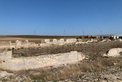 Teren intravilan de 12481 mp, în Mihail Kogălniceanu - 8