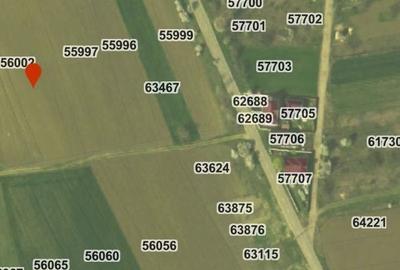 Teren de 4883 mp, în 1 Decembrie - 2