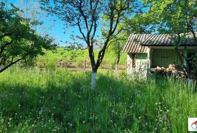 Teren în Bercu Roșu - 2