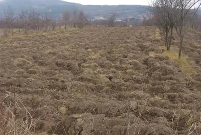 Teren de 1610 mp, în Vulcana-Pandele - 1