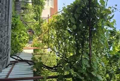 Casă cu 5 camere cu Teren 460 Mp în Calea Dumbrăvii - 4