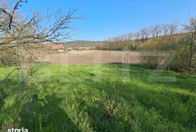 Casă cu 4 camere cu Teren 15000 Mp în Bichiș - 15