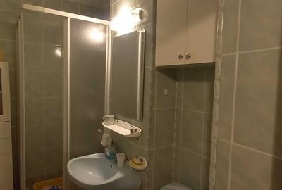 Apartament cu 2 camere semidecomandat în Rovine - 9