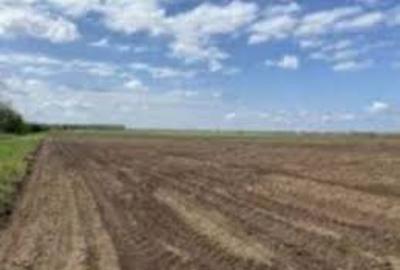 Teren agricol extravilan de 22500 mp, în Leu - 1