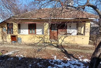 Casă cu 2 camere cu Teren 1000 Mp în Nuci - 6