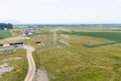 Teren Construcții intravilan de 733 mp, în Sânpetru - 6