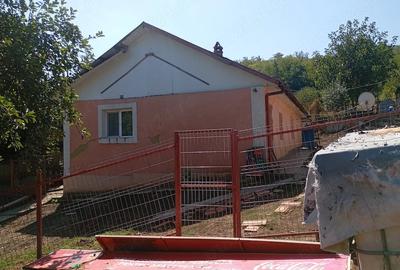 Casă cu 3 camere cu Teren 2500 Mp în Rebricea