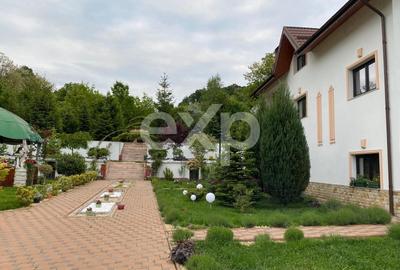 Casă individuală cu 10 camere cu Teren 20875 Mp în Păușești - 3